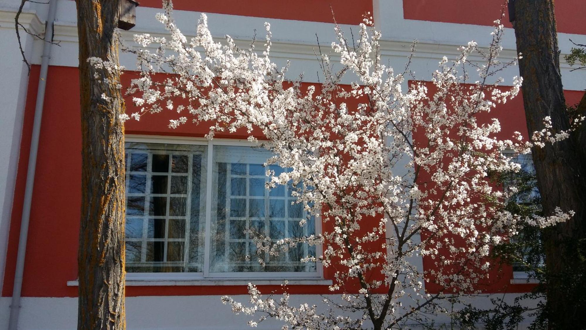 Willa La Casa Grande De Gormaz Quintanas de Gormaz Zewnętrze zdjęcie