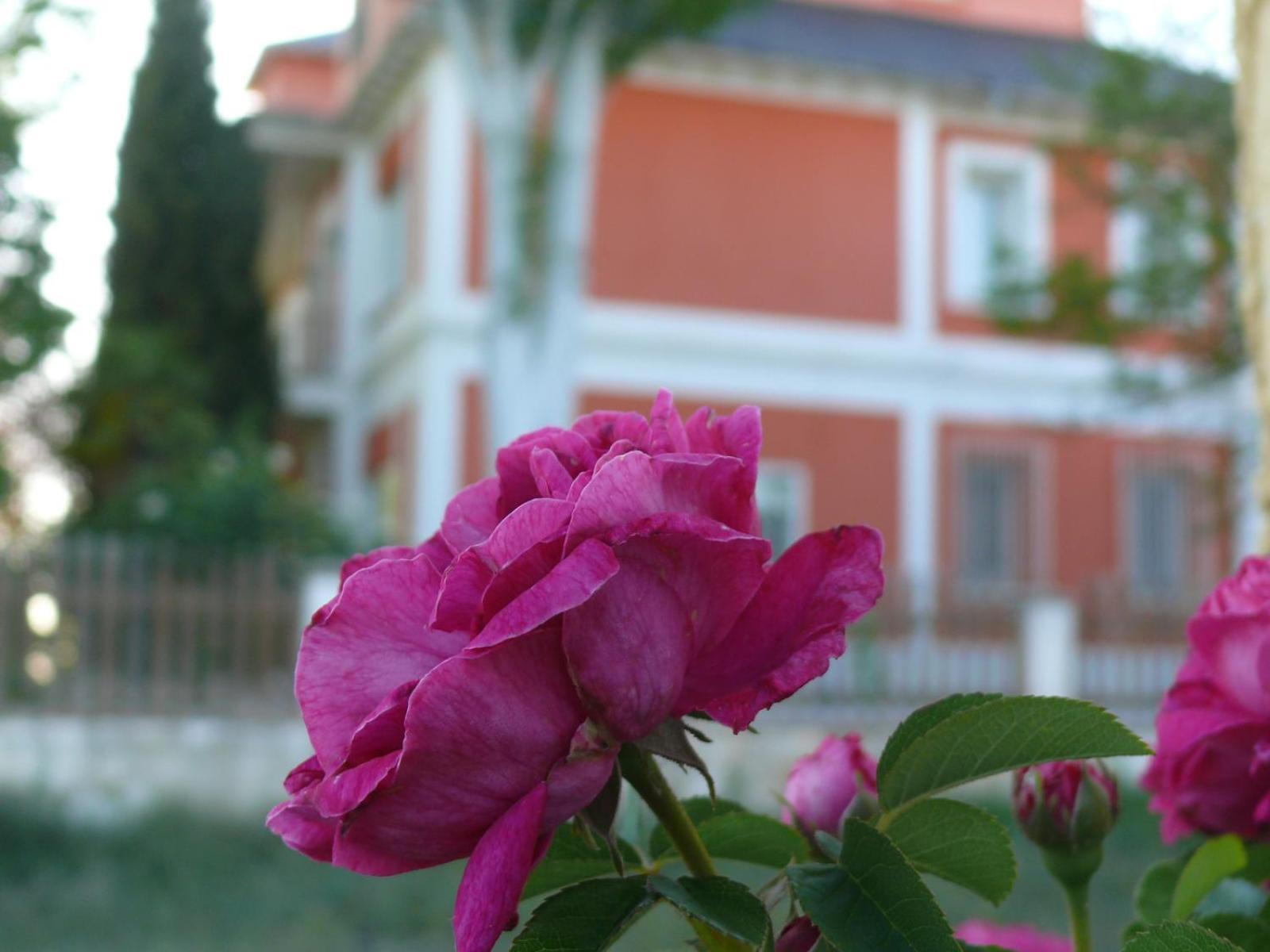 Willa La Casa Grande De Gormaz Quintanas de Gormaz Zewnętrze zdjęcie